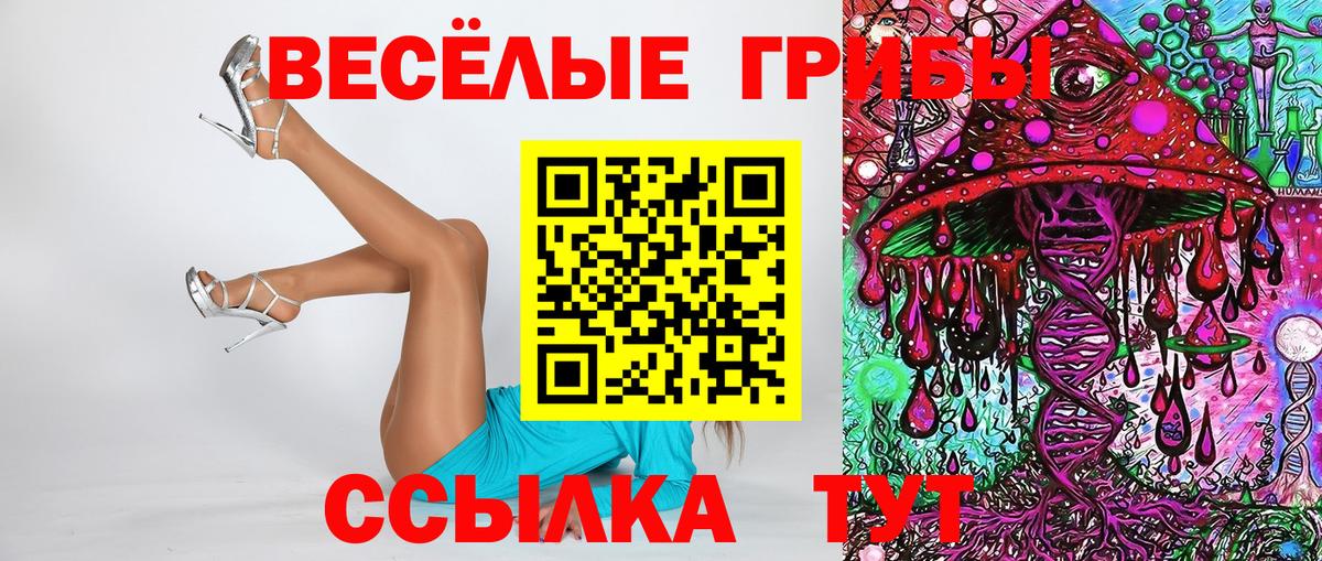 Галлюциногенные грибы MAGIC MUSHROOMS  Вход с VPN  Пенза 