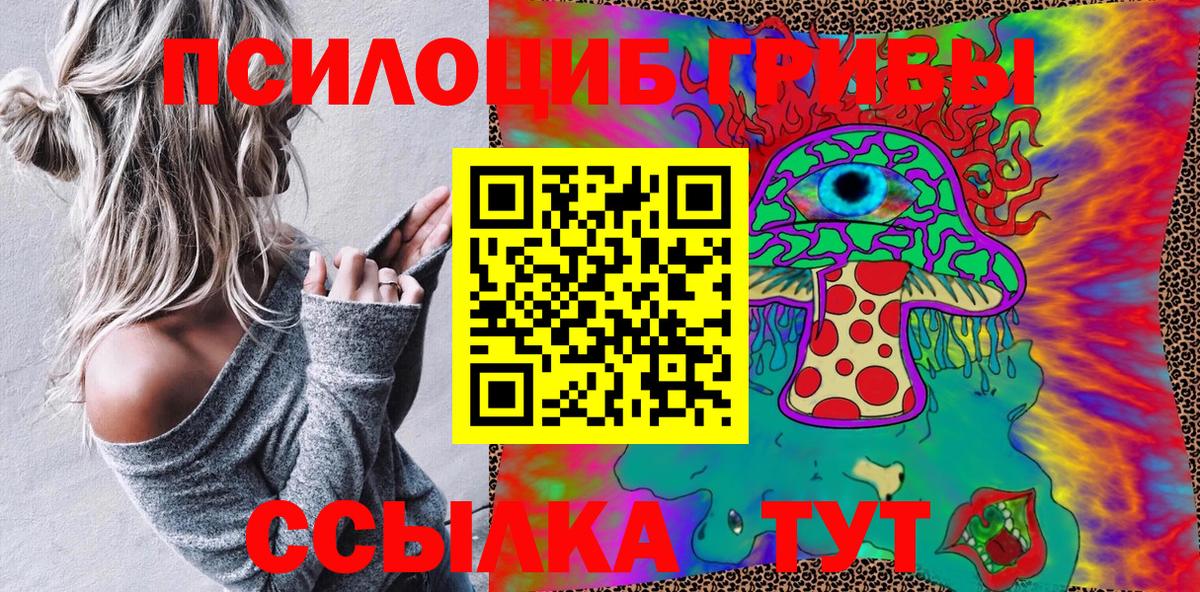 Галлюциногенные грибы Cubensis Пенза